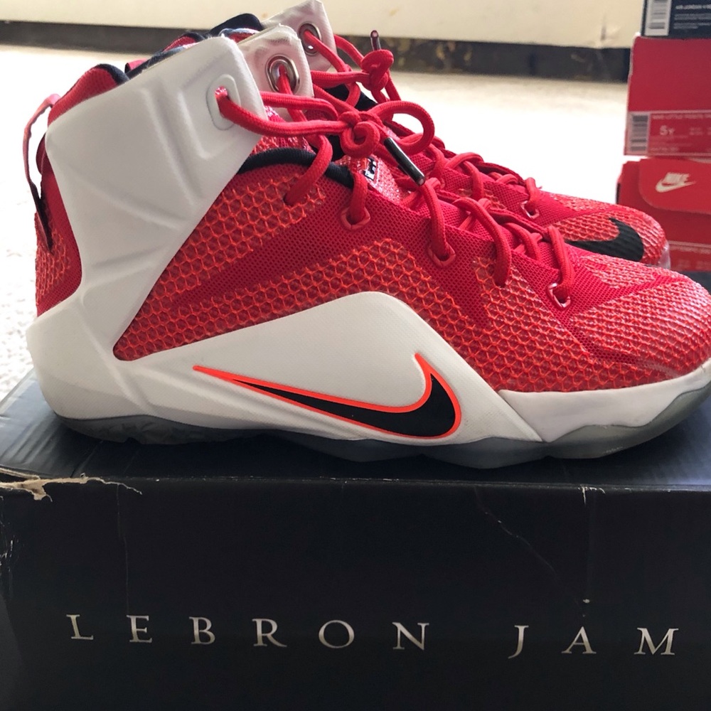Nike Lebron 12 Heart of a Lion